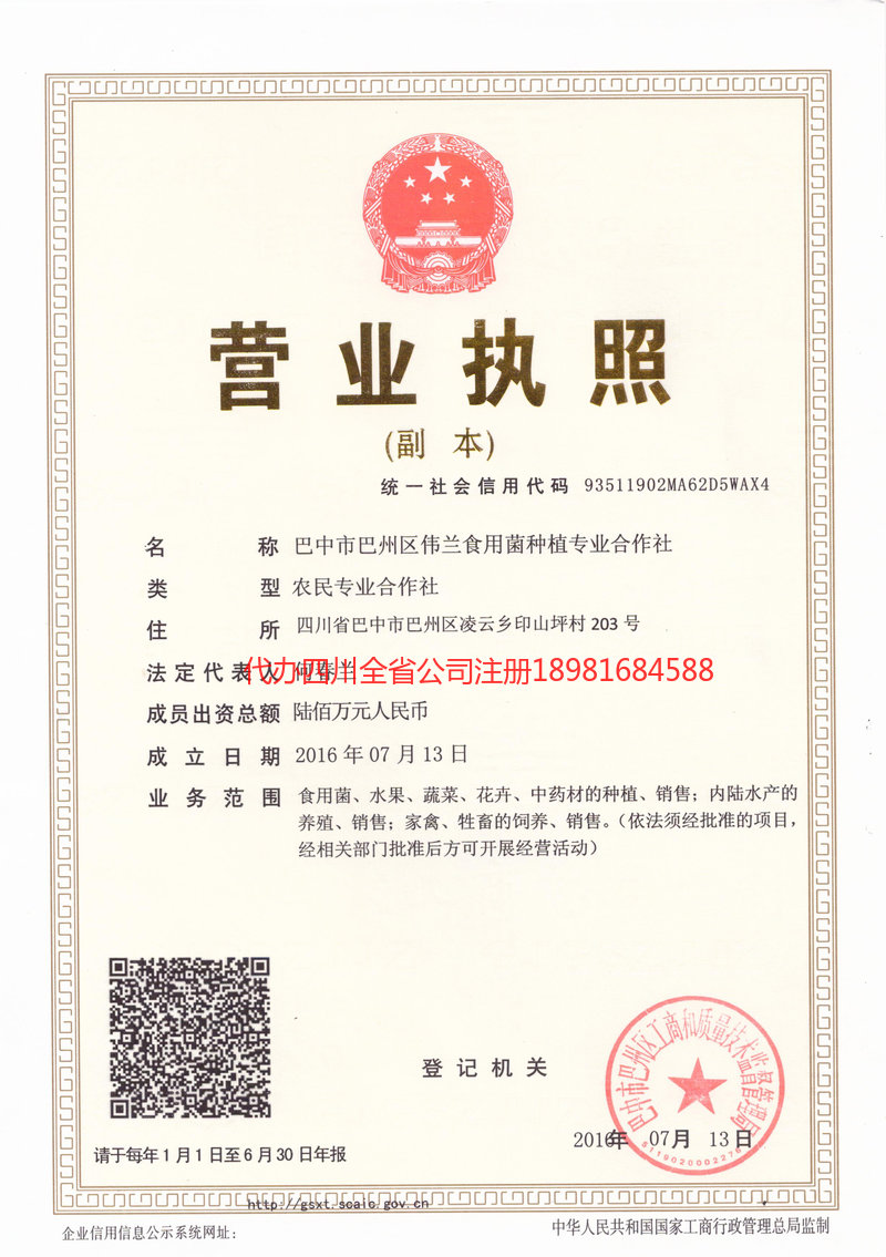 龙陵龙陵伟兰食用菌种植专业合作社